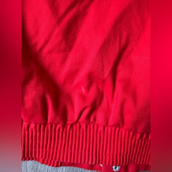 VTG Dale Earnhardt Jr #8 Jacket Budweiser Nascar Winners Circle Red Size M L - Picture 16 of 16